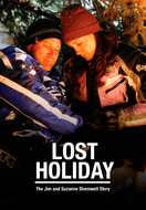 Poster of Lost Holiday: The Jim & Suzanne Shemwell Story