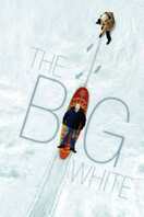 Poster of The Big White