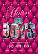 Poster of House of Boys