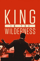 Poster of King in the Wilderness