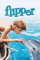 Poster of Flipper