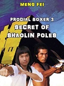 Poster of Secret of the Shaolin Poles