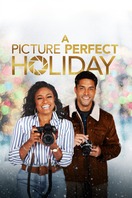Poster of A Picture Perfect Holiday