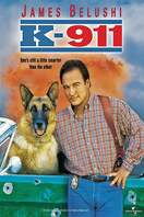 Poster of K-911