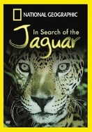 Poster of In Search of the Jaguar