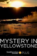 Poster of Mystery in Yellowstone