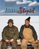 Poster of Frozen Stupid