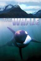Poster of The Whale