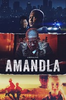 Poster of Amandla