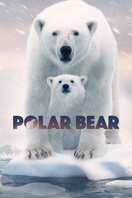 Poster of Polar Bear