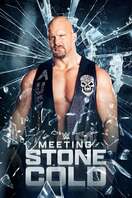 Poster of Meeting Stone Cold