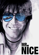 Poster of Mr. Nice