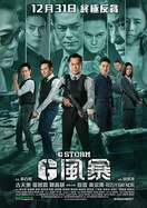 Poster of G Storm