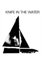Poster of Knife in the Water