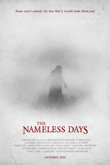 Poster of The Nameless Days