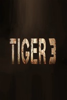 Poster of Tiger 3