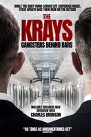 Poster of The Krays: Gangsters Behind Bars