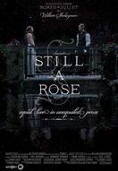 Poster of Still a Rose