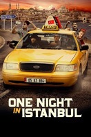 Poster of One Night in Istanbul
