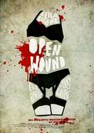 Poster of Open Wound - The Übermovie