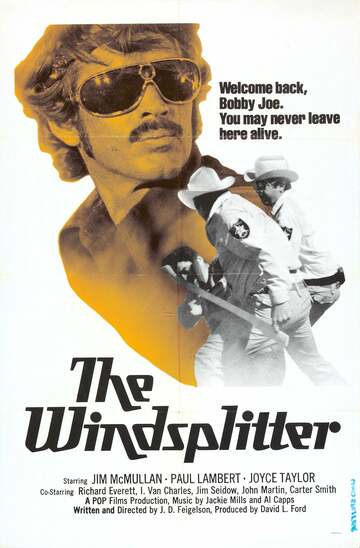 Poster of The Windsplitter