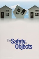 Poster of The Safety of Objects