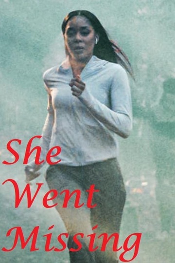 Poster of She Went Missing