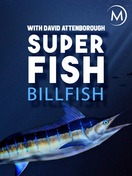 Poster of Superfish