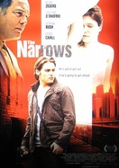 Poster of The Narrows
