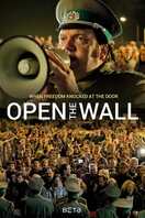 Poster of Open the Wall