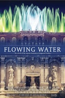 Poster of Flowing Water