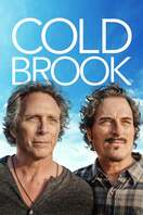 Poster of Cold Brook