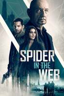 Poster of Spider in the Web