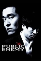 Poster of Public Enemy