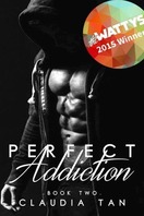 Poster of Perfect Addiction