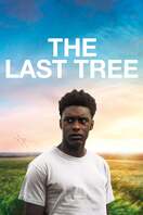 Poster of The Last Tree