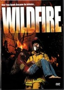 Poster of Wild Fire