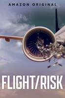 Poster of Flight/Risk