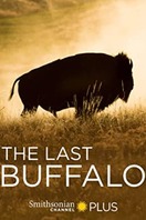 Poster of The Last Buffalo