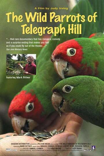 Poster of The Wild Parrots of Telegraph Hill