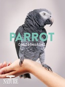 Poster of Parrot Confidential