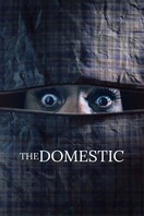 Poster of The Domestic