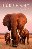 Poster of The Elephant Queen