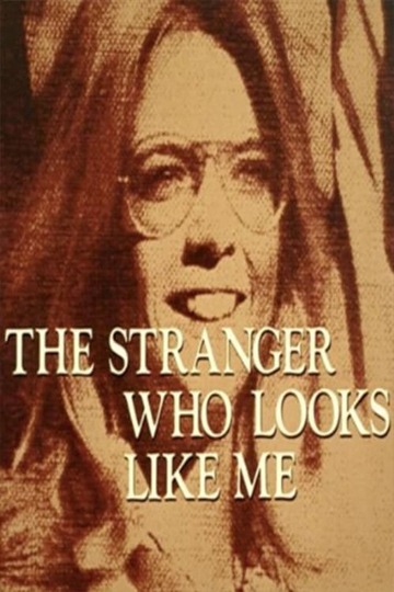 Poster of The Stranger Who Looks Like Me