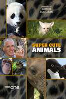 Poster of Super Cute Animals
