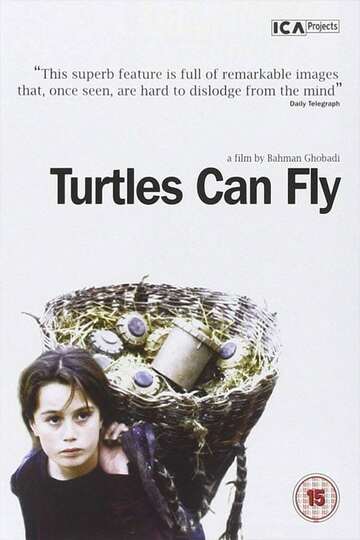 Poster of Turtles Can Fly