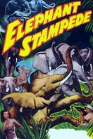 Poster of Elephant Stampede