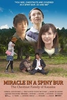 Poster of Miracle in Kasama