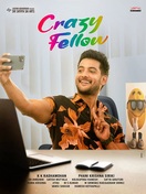 Poster of Crazy Fellow