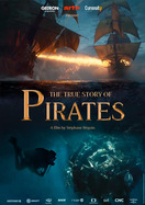 Poster of The True Story of Pirates